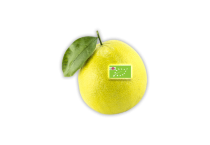 Bergamotto Biologico